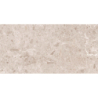 ARTIC BEIGE POLER 59X119 REKT. GAT.1 (P.82183)