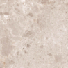 ARTIC BEIGE MAT 60X60 REKT. GAT.1 (P.82151)