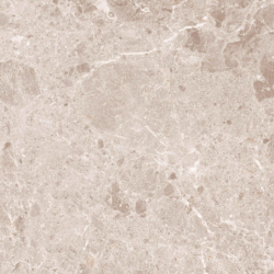 ARTIC BEIGE POLER 59X59 REKT. GAT.1 (P.82091)