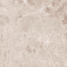 ARTIC BEIGE POLER 59X59 REKT. GAT.1 (P.82091)