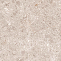 ARTIC BEIGE POLER 59X59 REKT. GAT.1 (P.82091)