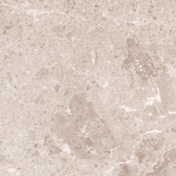 ARTIC BEIGE POLER 59X59 REKT. GAT.1 (P.82091)