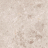 ARTIC BEIGE POLER 59X59 REKT. GAT.1 (P.82091)