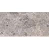 ARTIC GRIS MAT 30X60 REKT. GAT.1 (P.82105)