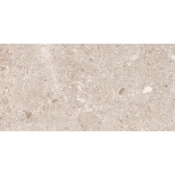 ARTIC BEIGE MAT 30X60 REKT....