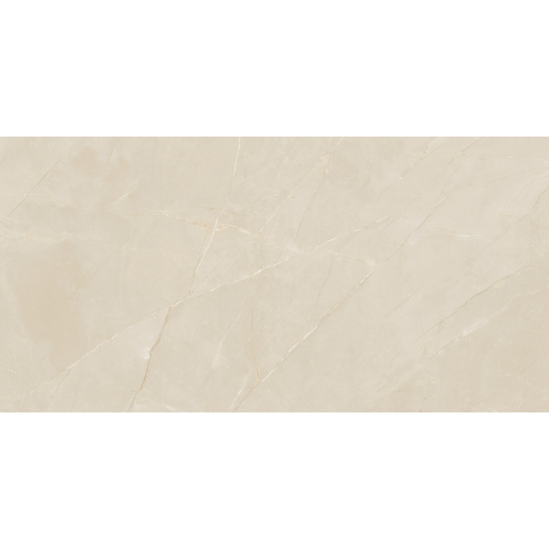 MARMOREA PULPIS MAT 60X120 REKT. GAT.1 (P.82293)
