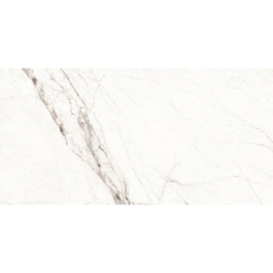 VOLTERRA BLANCO MAT 30X60 REKT. GAT.1 (P.81909)