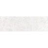 FRESCO CENIZA MAT 31,5X100 REKT. GAT.1 (P.81831)