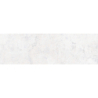 FRESCO CENIZA MAT 31,5X100 REKT. GAT.1 (P.81831)