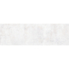 FRESCO CENIZA MAT 31,5X100 REKT. GAT.1 (P.81831)