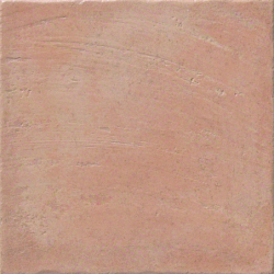 ABADIA SALMON NATURAL 30X30...