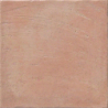 ABADIA SALMON NATURAL 30X30 GAT.1 (P.81989)