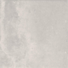 ALCHEMY GRIS 23AL-30 NATURAL MAT 20X20 GAT.1 (P.80627)