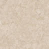 ARACRUZ BEIGE MAT 120X120 REKT. GAT.1 (P.80631)