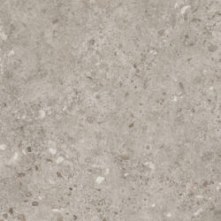 BIERZO GRIS SEDA 120X120...