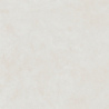 SURFACE MARFIL NATURAL 60X60 REKT. GAT.1 (P.80499)
