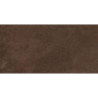 DISTRITO CORTEN 30X60 REKT. GAT.1 (P.80543)