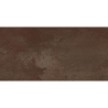 DISTRITO CORTEN 30X60 REKT. GAT.1 (P.80543)