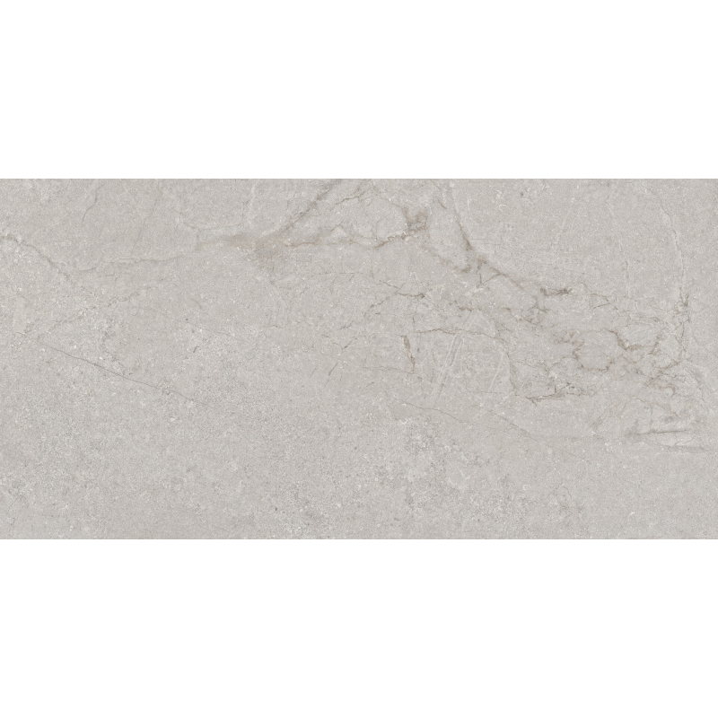 GARONA GRIS MAT 60X120 REKT. GAT.1 (P.81133)