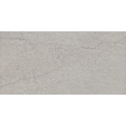 DUMAS GRIS MAT 60X120 REKT. GAT.1 (P.81141)