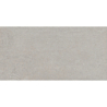 DUMAS GRIS MAT 60X120 REKT. GAT.1 (P.81141)