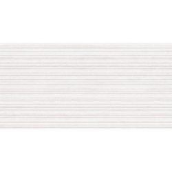 REGENT BLANCO MAT 60X120 REKT. GAT.1 (P.81261)