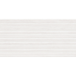 REGENT BLANCO MAT 60X120 REKT. GAT.1 (P.81261)