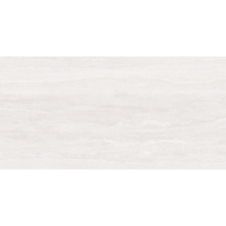 PRESTON BLANCO MAT 60X120 REKT. GAT.1 (P.81269)