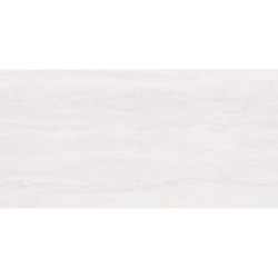 PRESTON BLANCO MAT 60X120 REKT. GAT.1 (P.81269)