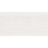 PRESTON BLANCO MAT 60X120 REKT. GAT.1 (P.81269)