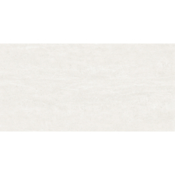 RIVERSIDE WHITE MAT 60X120...
