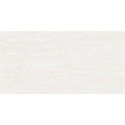 RIVERSIDE WHITE MAT 60X120 REKT. GAT.1 (P.81287)