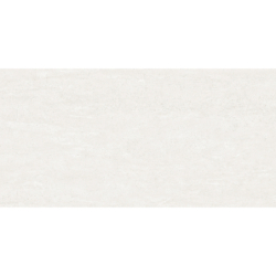 RIVERSIDE WHITE MAT 60X120 REKT. GAT.1 (P.81287)