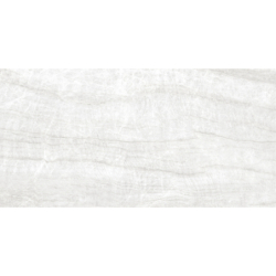 TAJ MAHAL WHITE POLER 59X119 REKT. GAT.1 (P.80891)