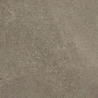 LYON TAUPE POLER 60X60 REKT. GAT.1 (P.80965)
