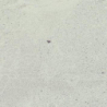 LYON GRIS NATURAL 30X30 REKT. GAT.1 (P.80973)