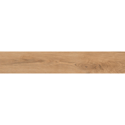 SIENA BROWN CARVING 20X120...