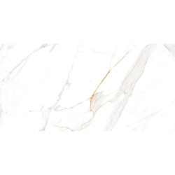 REGAL CARRARA POLER 60X120...