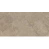 STORM SLATE TAUPE MAT 59,8X119,8 REKT. GAT.1 (P.82411)