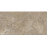 STORM SLATE TAUPE MAT 59,8X119,8 REKT. GAT.1 (P.82411)