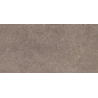 URBAN CHAMPAGNE NATURALE STRUKTURA MAT 59,8X119,8 REKT. GAT.1 (P.82421)
