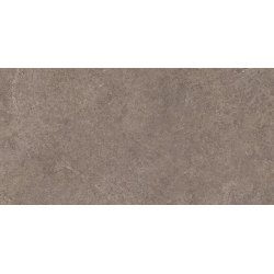 URBAN CHAMPAGNE NATURALE STRUKTURA MAT 59,8X119,8 REKT. GAT.1 (P.82421)