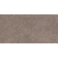 URBAN CHAMPAGNE NATURALE STRUKTURA MAT 59,8X119,8 REKT. GAT.1 (P.82421)