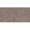 URBAN CHAMPAGNE NATURALE STRUKTURA MAT 59,8X119,8 REKT. GAT.1 (P.82421)