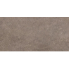 URBAN CHAMPAGNE NATURALE STRUKTURA MAT 59,8X119,8 REKT. GAT.1 (P.82421)