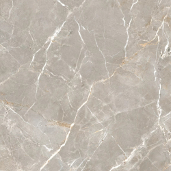 PROUD CHAMPAGNE CREMA STRUKTURA MAT 119,8X119,8 REKT. GAT.1 (P.82439)