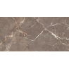 PROUD CHAMPAGNE BEIGE STRUKTURA MAT 59,8X119,8 REKT. GAT.1 (P.82471)