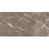PROUD CHAMPAGNE BEIGE STRUKTURA MAT 59,8X119,8 REKT. GAT.1 (P.82471)