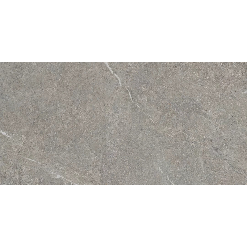 MISTY ROCK GREY MAT 59,8X119,8 REKT. GAT.1 (P.82461)