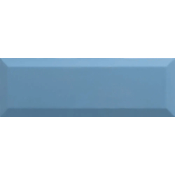 BISEL TEAL POŁYSK 10X30...